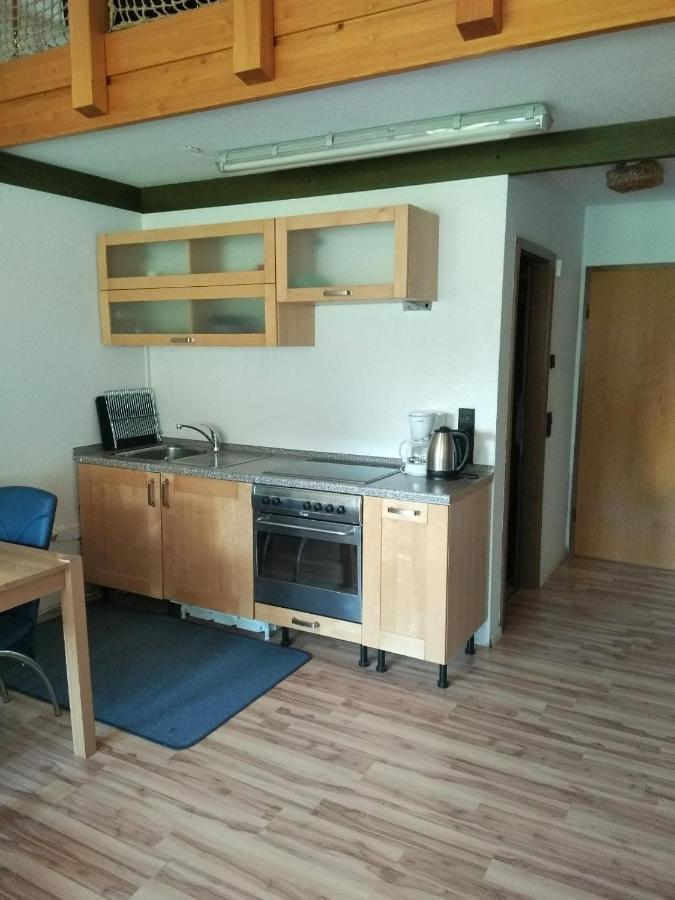 Haus Herzogenhorn - Hornberg Todtmoos Zewnętrze zdjęcie